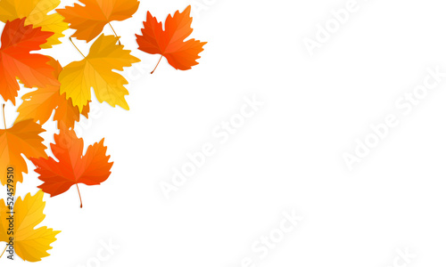 Autumn leaves background with copy space. Vector illustration of colorful maple fallen leaves.