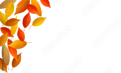 Autumn leaves background with copy space. Vector illustration of colorful fallen leaves.