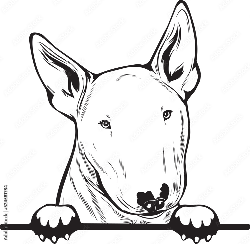 Bull Terrier Peek A Boo | Peekaboo | Peeking Dog Face vector eps