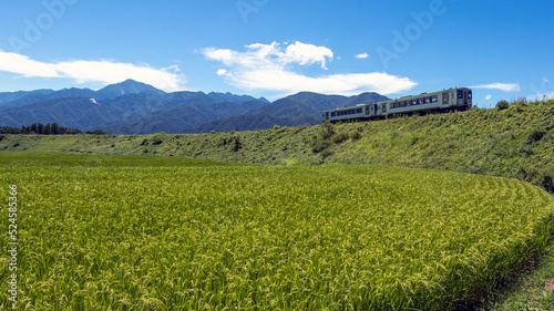 夏の高原列車