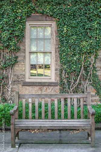 The bench near the house wall which is covered with ivy