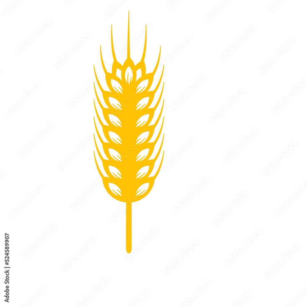 Ears of wheat. Whole grains for making bread. Ears of wheat. Whole grains for making bread.