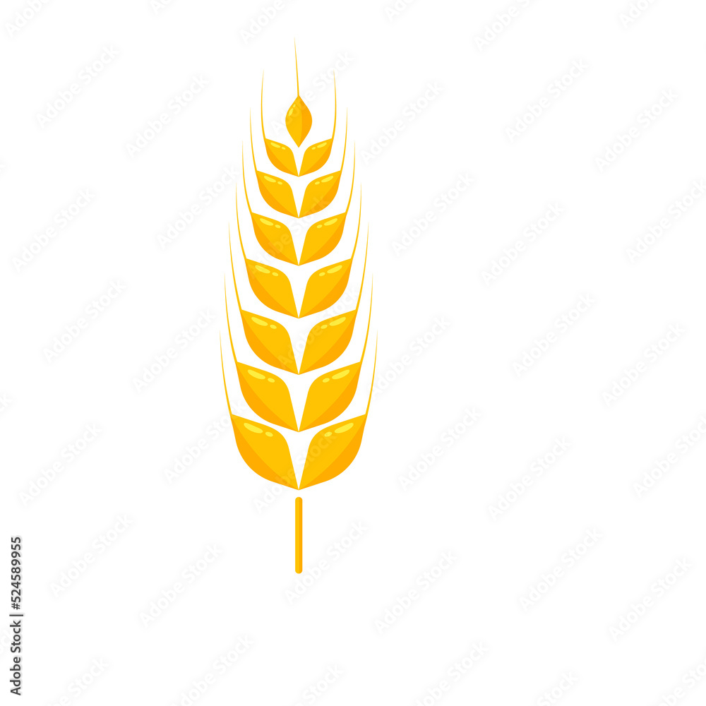 Ears of wheat. Whole grains for making bread. Ears of wheat. Whole grains for making bread.