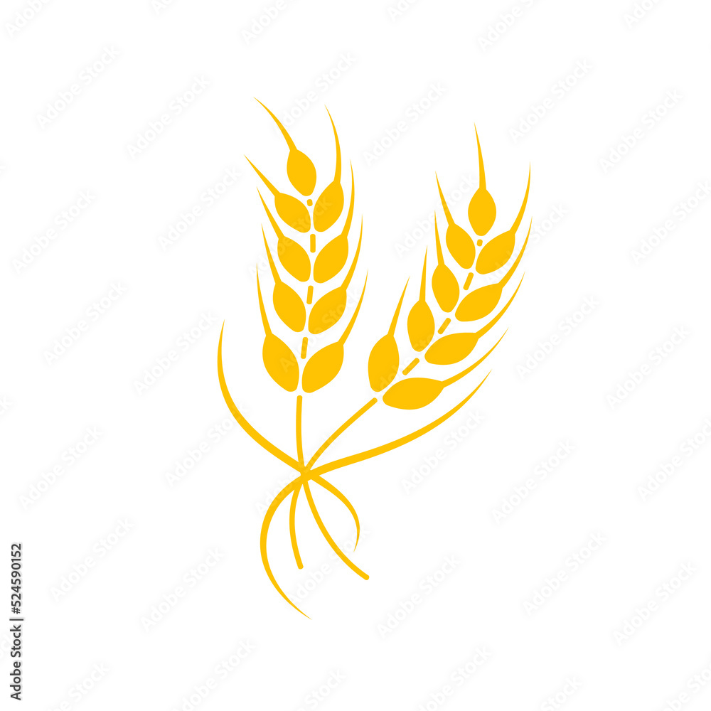Ears of wheat. Whole grains for making bread. Ears of wheat. Whole grains for making bread.