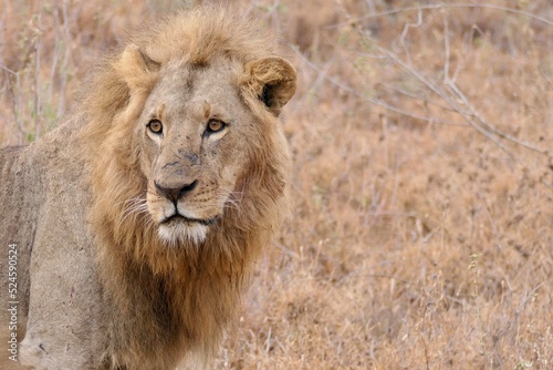 Kenya