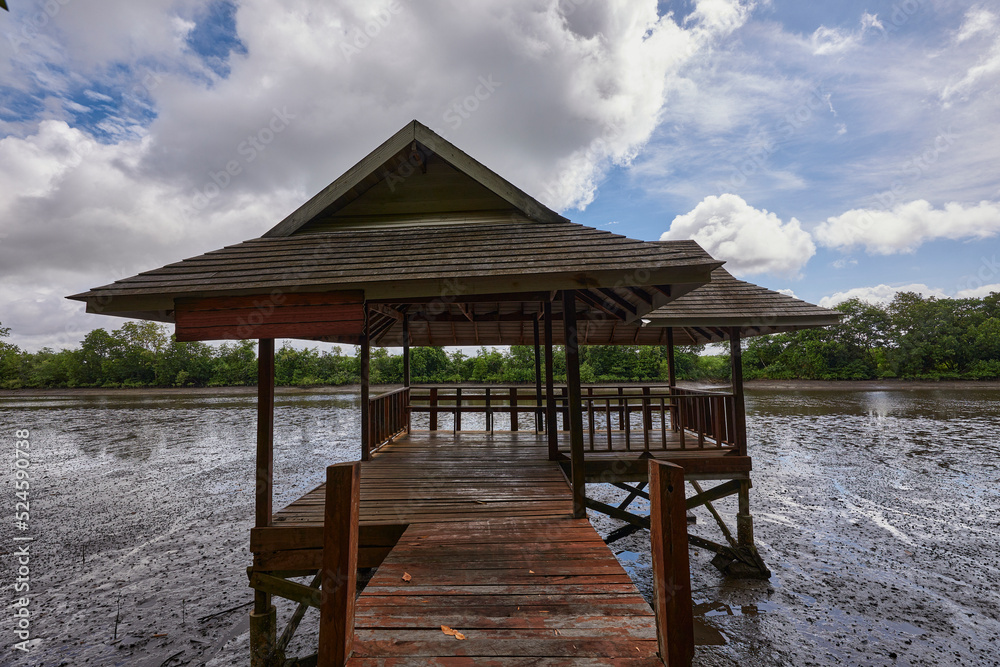 A building of pavilion in the middle of swamp forest river during the water out of the day. A building of pavilion in the middle of swamp forest river during the water out of the day.