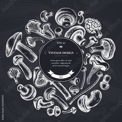 Round design with chalk oyster mushroom, champignon, honey agaric, etc.