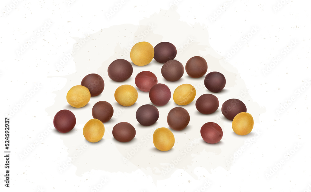 Mustards seed vector illustration isolated on white background Mustards seed vector illustration isolated on white background