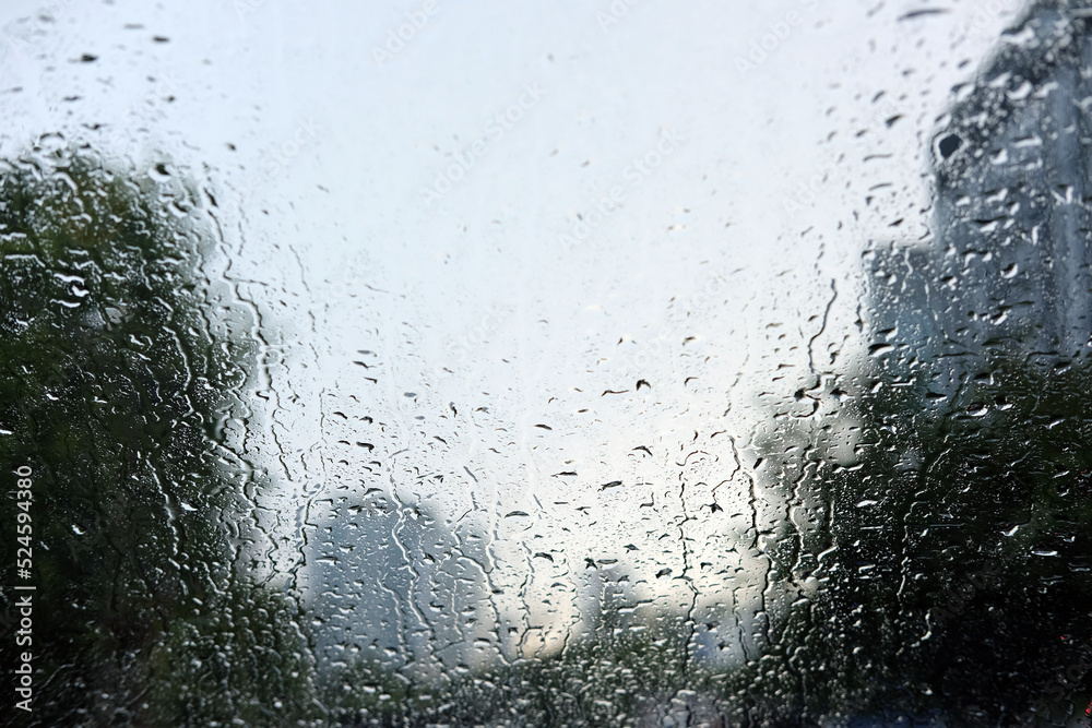 Obraz premium raindrops on the window
