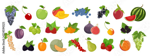 Fototapeta Naklejka Na Ścianę i Meble -  Set of summer fruits and berries, juicy multicolored assortment of delicious vegan products, vector illustration on white background, banner