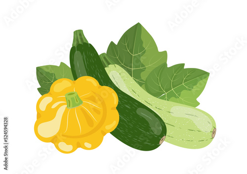 Zucchini, squash and vegetable marrow, vector illustration isolated on white background
