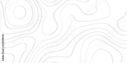 Abstract background vector pattern in illustration . Paper cut vector art background banner texture website template, 3D papercut layers, Abstract paper cut white background in illustration S