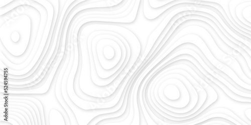 Abstract design with white background and realistic papercut decoration textured with wavy layers and shadow. Paper cut vector art background banner texture website template .paper texture design .	
