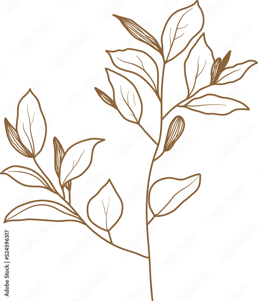 Naklejka premium Leaf transparent for decoration.