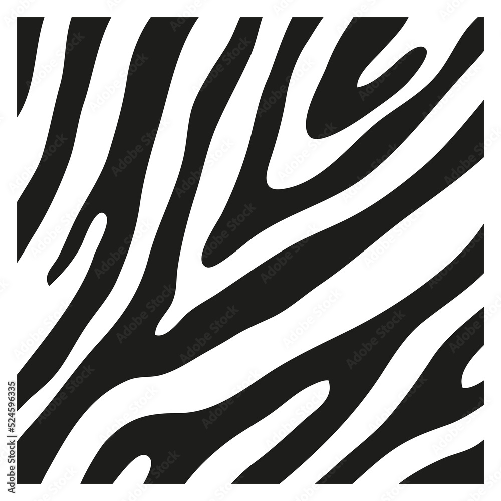 Black stripes on the skin of a zebra for decoration graphics Black stripes on the skin of a zebra for decoration graphics