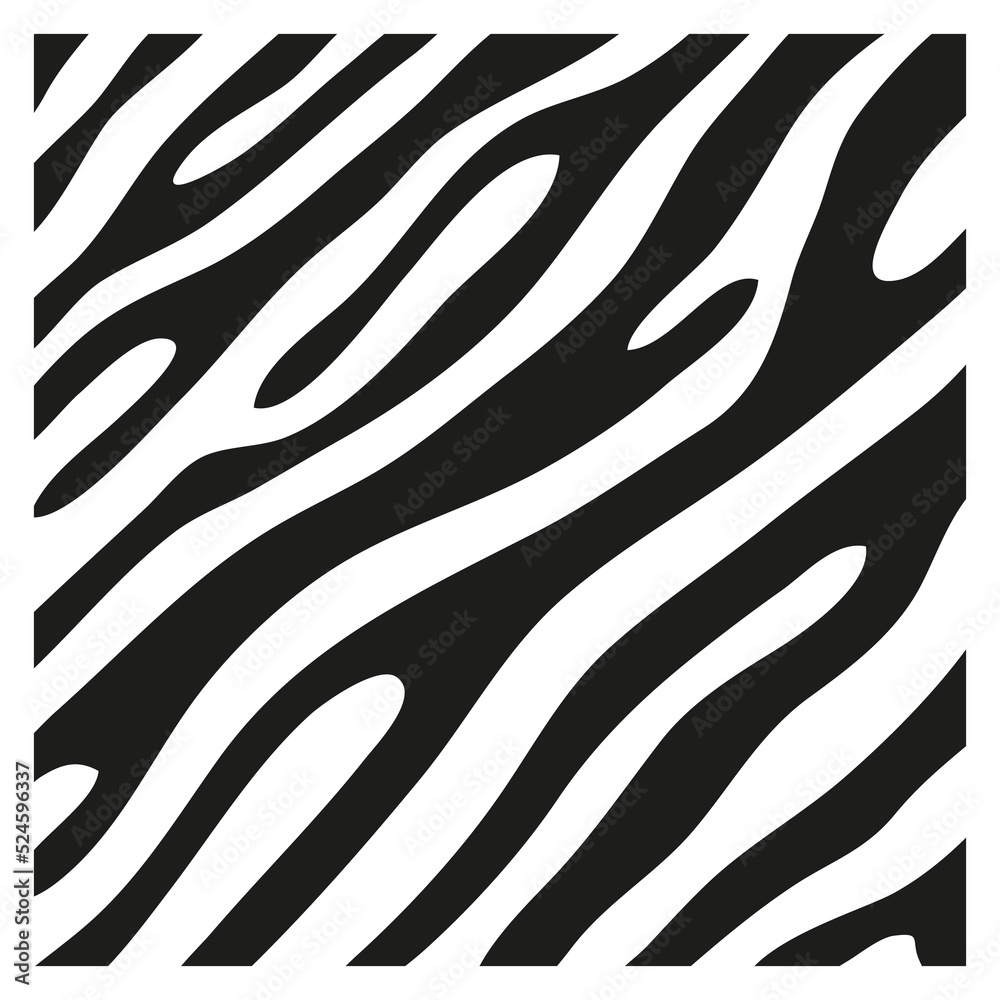 Black stripes on the skin of a zebra for decoration graphics Black stripes on the skin of a zebra for decoration graphics