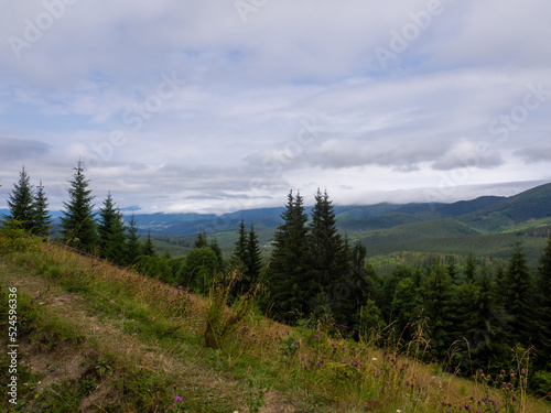 Majestic landscape of summer mountains. View of hills in mist. Carpathians. Amaizing view on the mountains and cloudy sky near Verkhovyna, Ukraine.