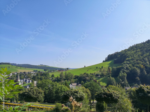 Landscape Trees Grass Nature Photo in NRW Sauerland Germany