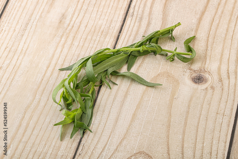 Green tarragon herb spice for cooking Green tarragon herb spice for cooking