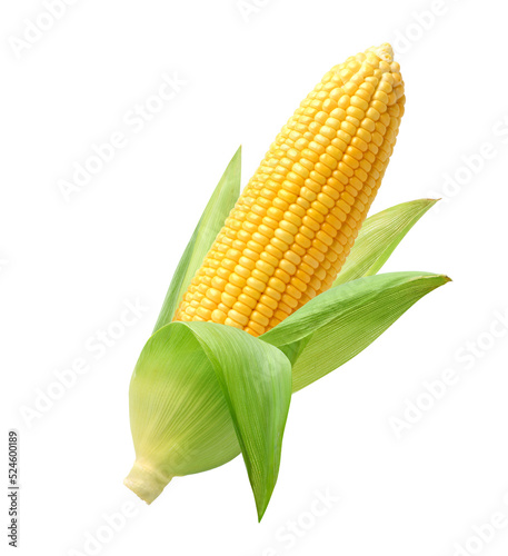 Фотография Fresh corn isolated on white background. Clipping path.