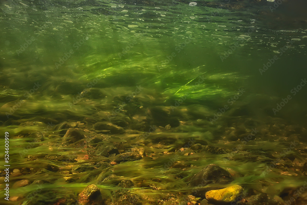 underwater fresh water green background with sun rays under, water underwater fresh water green background with sun rays under, water