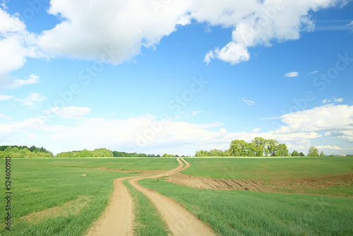 summer road in the field landscape nature meadow