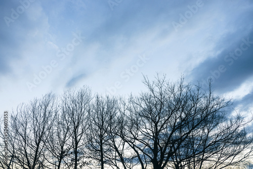 冬の空