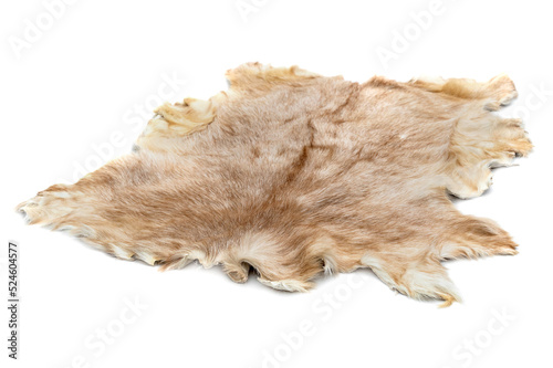 Goat fur isolated on a white.