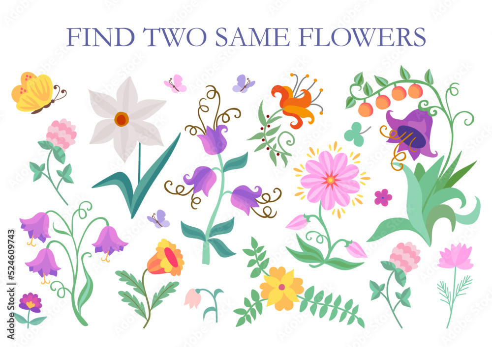 Find two same flowers. Cartoon vector illustration for children education.