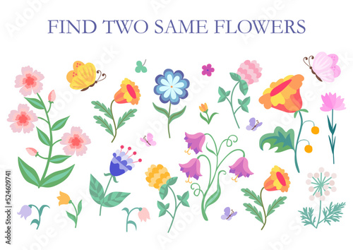 Find two same flowers. Natural vector illustration for children education.