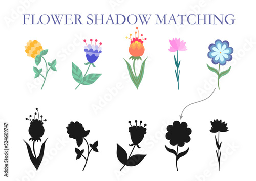 Draw a line between the flower and the matching shadow..Educational game for children.