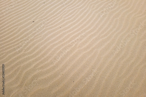 Nice background of sand on the beach