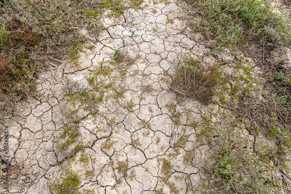 Naklejka premium Dry and cracked land, dry due to lack of rain, in the Loteta reservoir, near the town of Gallur, Spain. Effects of climate change such as desertification and droughts