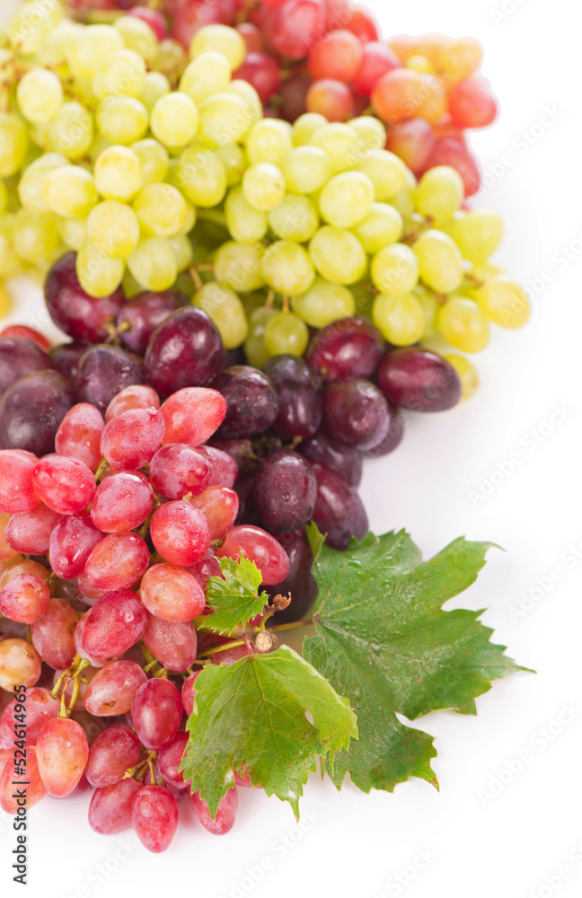 Red and white table grapes, wine grapes. Red and white table grapes, wine grapes.