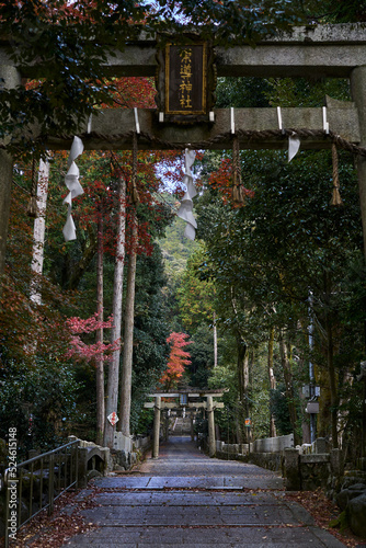 Japanese Temple in a Forest in Kyoto