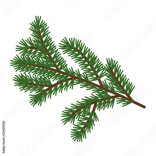Spruce branch on a white background.Vector illustration can be used in Christmas designs textiles.postcards.labels.