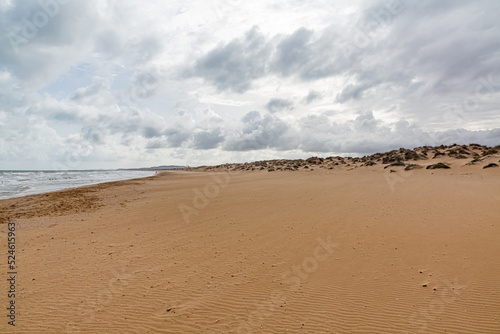 Evening view on small sand dune with green grass. Sandy beach at sea coast. Blue sky with white clouds. Sunset time