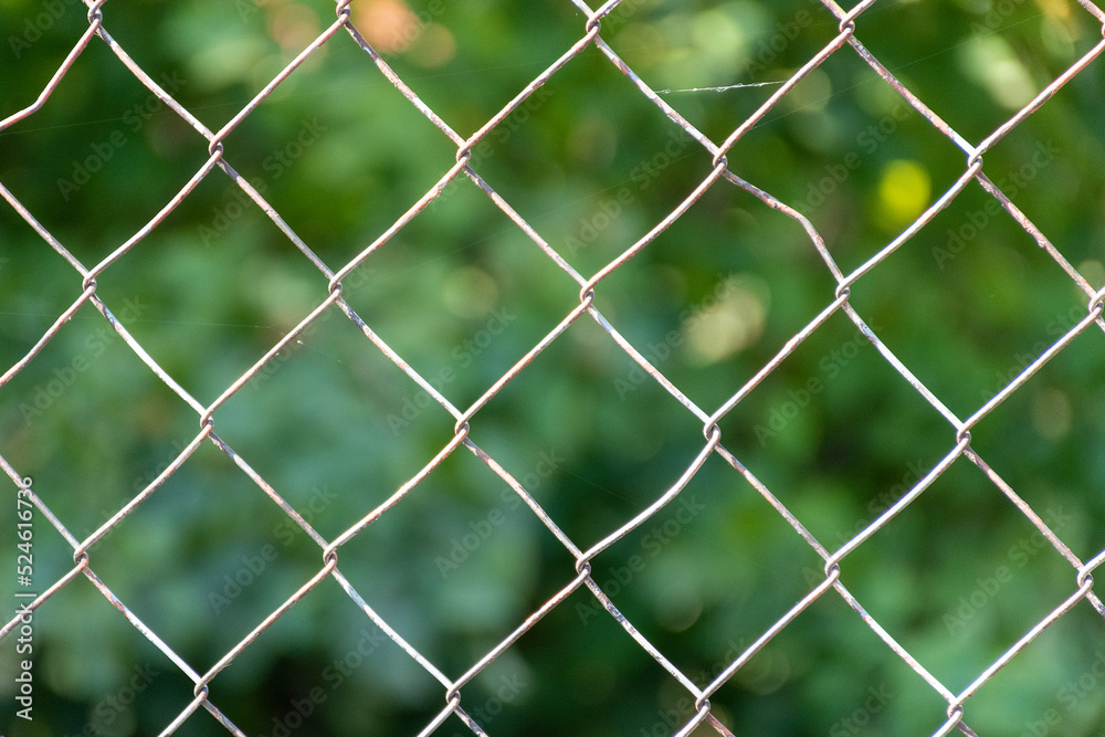 Fototapeta premium fence with grass