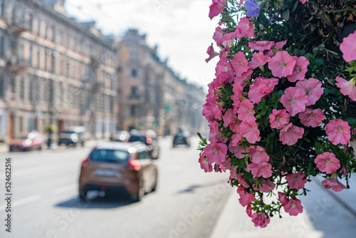Russia, Saint-Petersburg, central street Nevsky prospect. Historic city center. The streets are decorated with flowers. 18.08.2022 am 10:43