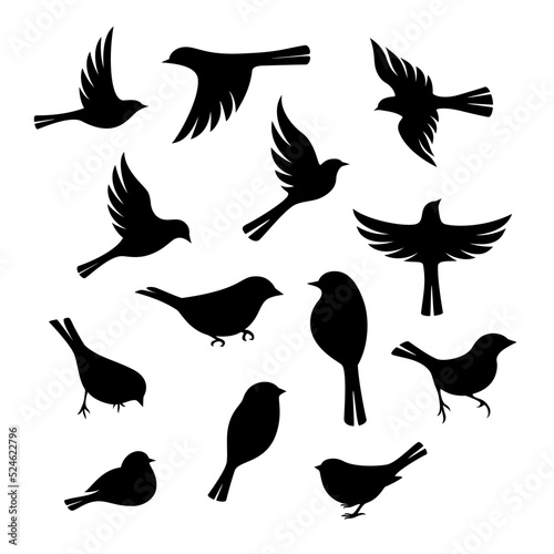 Birds silhouette collection.