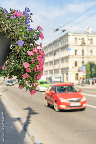 Russia, Saint-Petersburg, central street Nevsky prospect. Historic city center. The streets are decorated with flowers. 18.08.2022 am 10:43