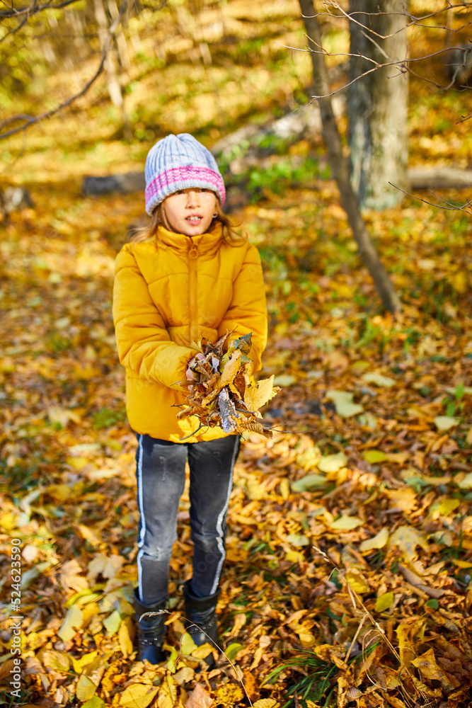 Happy adorable child girl laughing and playing yellow fallen leaves