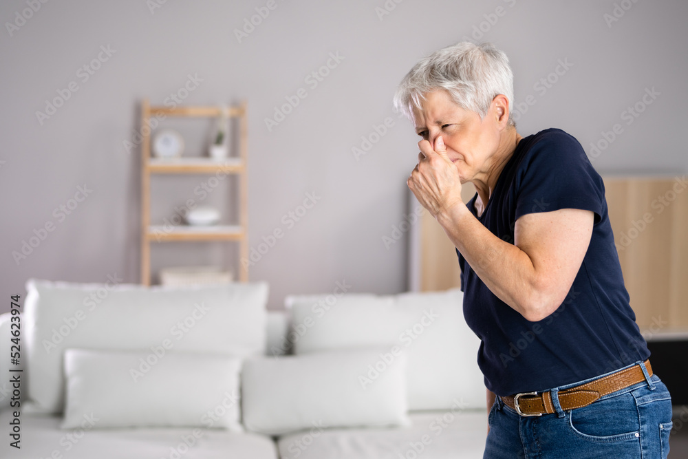Bad Smell Or Odor From Air Conditioner Bad Smell Or Odor From Air Conditioner