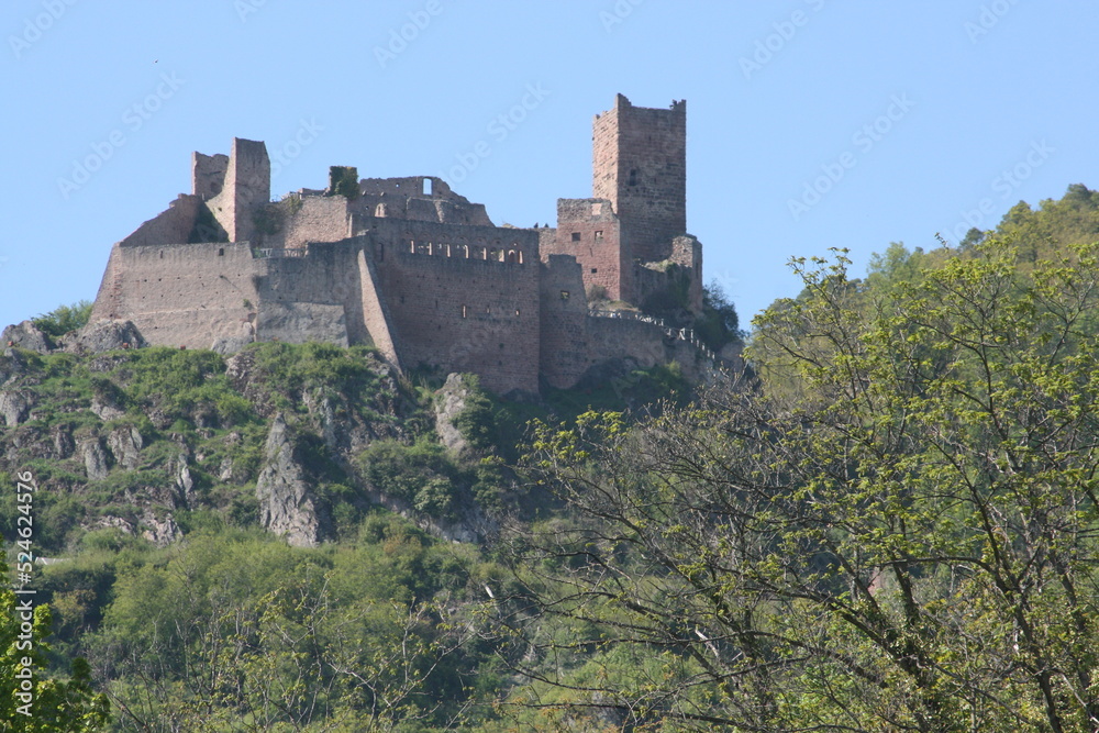 Château du Girsberg à Ribeauvillé (Massif des Vosges, Alsace, Haut-Rhin, France)