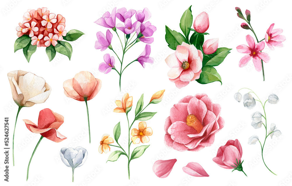 Set watercolor flowers. Hand drawn peony, poppies, anemone and wildflowers. Botanic illustration isolated on white background for wedding, greetings, wallpapers, fashion, backgrounds, wrappers, print