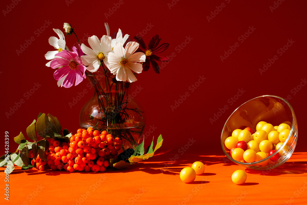 Orange background. Glass bowl with fruit. Yellow plums on an orange background. Bright light and shadow. Art minimal composition, autumn still life.