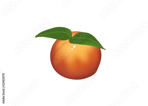 Dessin a la main d'une Pêche brugnon nectarine
