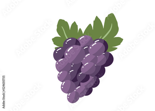 Illustration grappe de Raisin rouge dessinée à la main, fond transparent