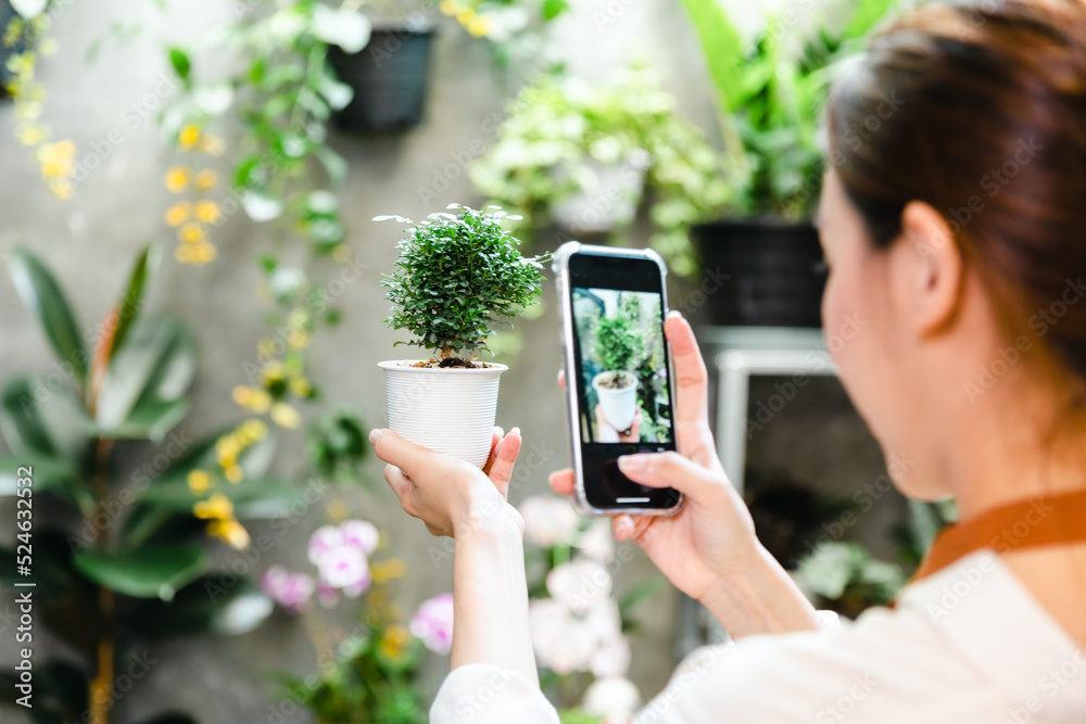 Asian beautiful young woman taking photo of small tree on pot by smartphone for sale at home.Online selling concept.