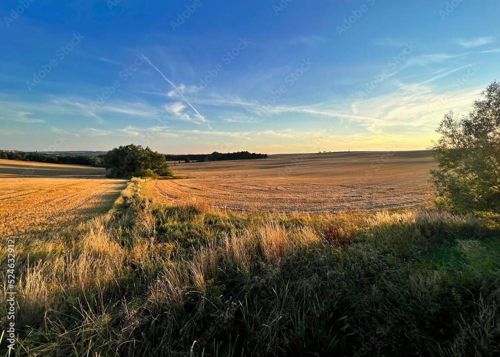 sunset in the field